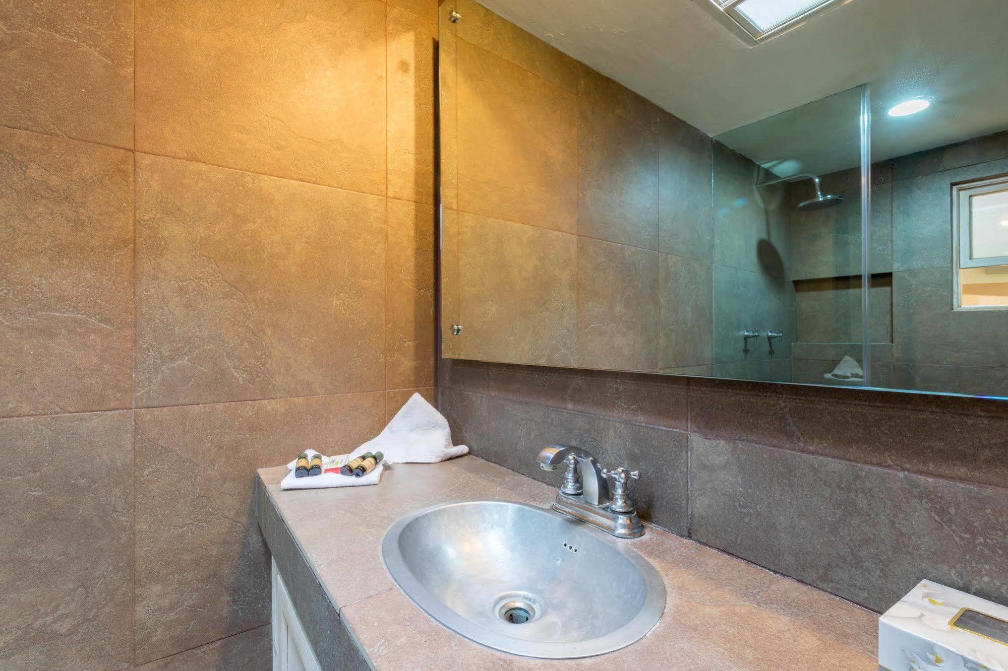 Hotel Damiana Boutique 克雷塔罗 外观 照片