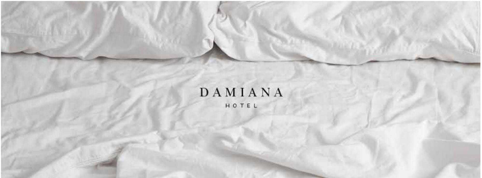 Hotel Damiana Boutique 克雷塔罗 外观 照片